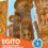 50º Aniversário do STE: Viagem ao Egito